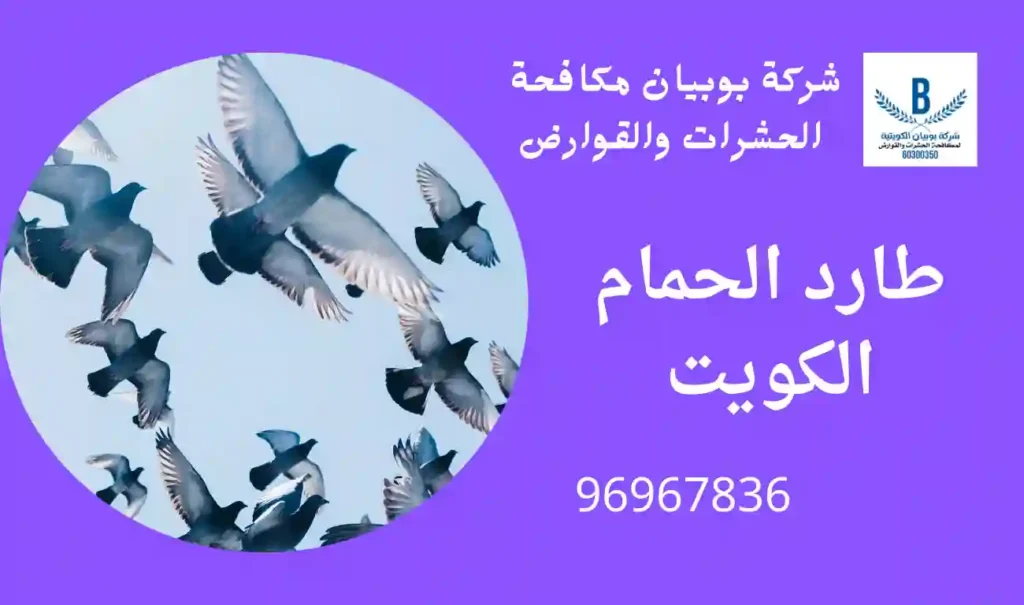 طارد الحمام الكويت